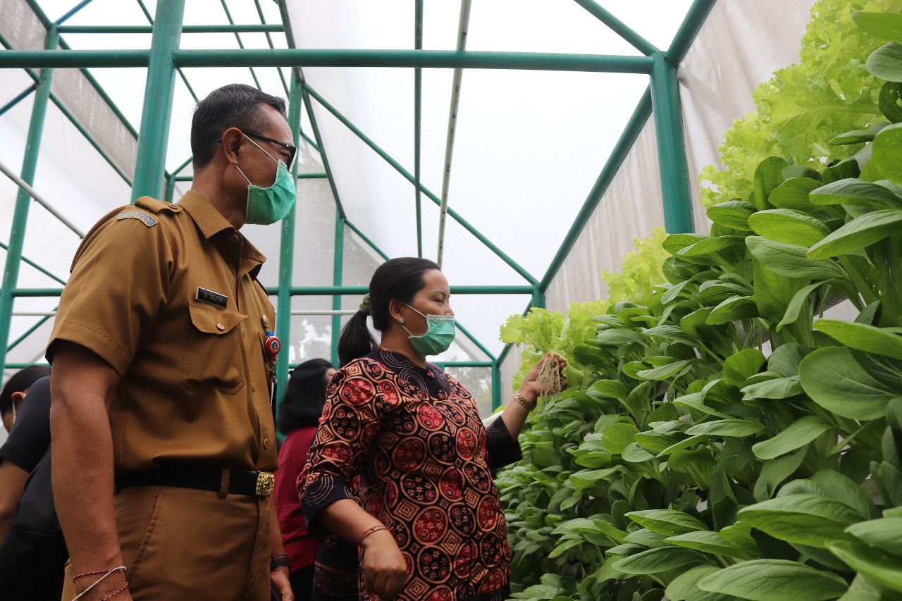 podiumnews.com-Ny. Seniasih Giri Prasta Harap Masyarakat Kembangkan Pertanian Hidroponik  